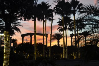 Sunset over Holy Land Experience