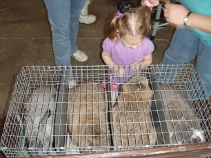 Karis checks out the bunnies
