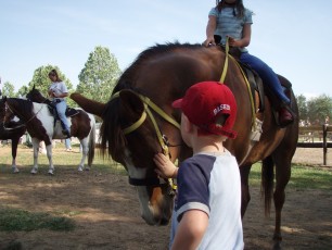 Although it was Ashlyn's day, that didn't stop Jarin from enjoying the horses, too