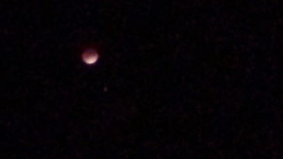 Here's me being a lemming by posting yet another poor-quality iPhone shot of the bloodmoon