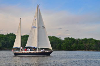 Sailboat on the Savannah