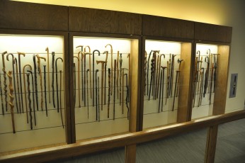 Collection of canes gifted to FDR 2