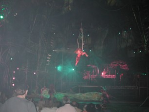 Tarzan show