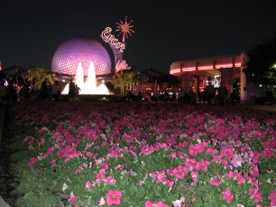 Disney Park Trips, February 21-22, March 16, & August 17, 2003