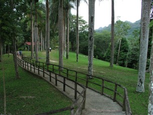 Entering the Taíno Indian ceremonial park