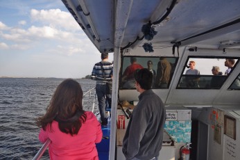 Dolphin Magic boat tour